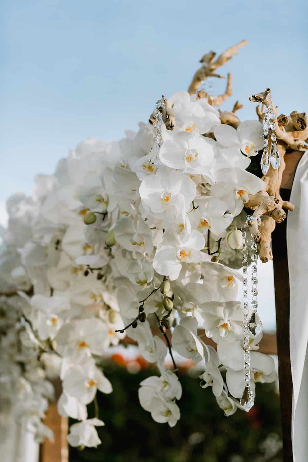 6 Kristi_Donny_Wed_0205