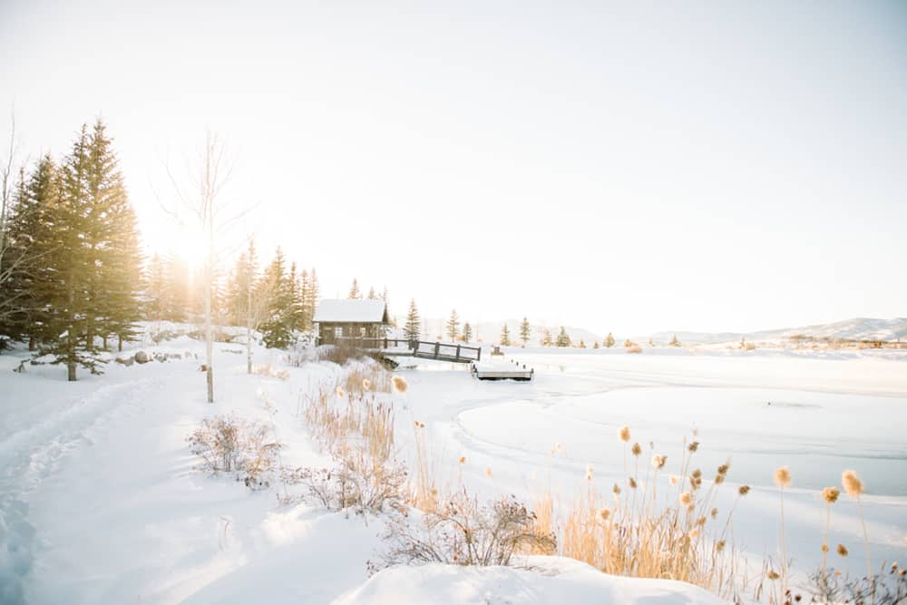 1 Baba_Tom_BrookeBakkenPhotography_BBP0975_low