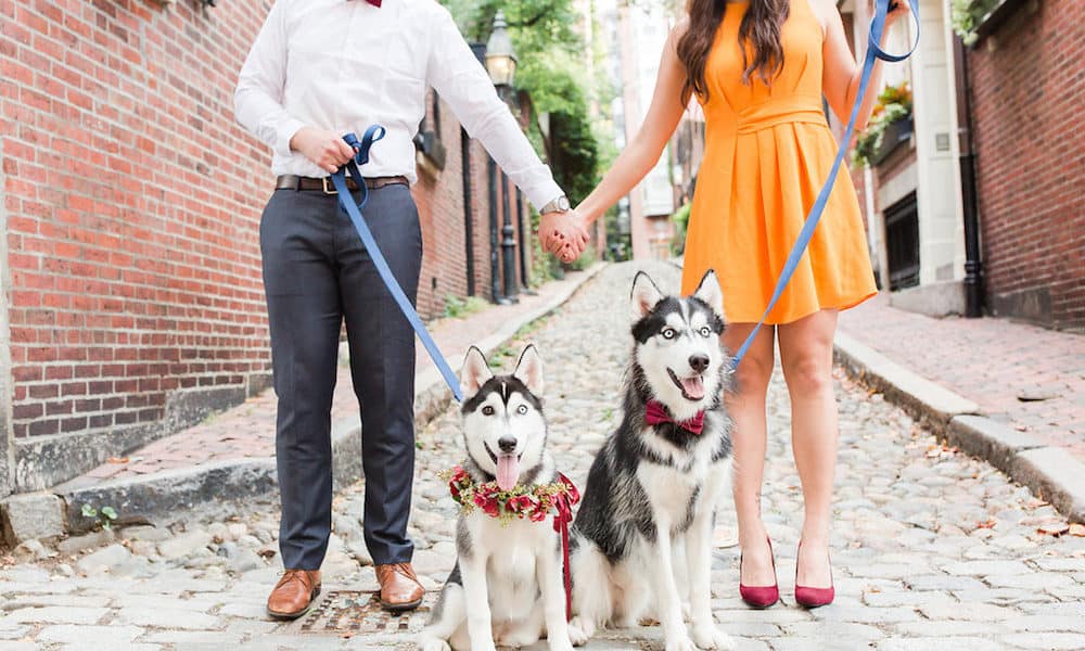 Adorable Engagement Session with Two Husky Puppies: Joanna and Mike