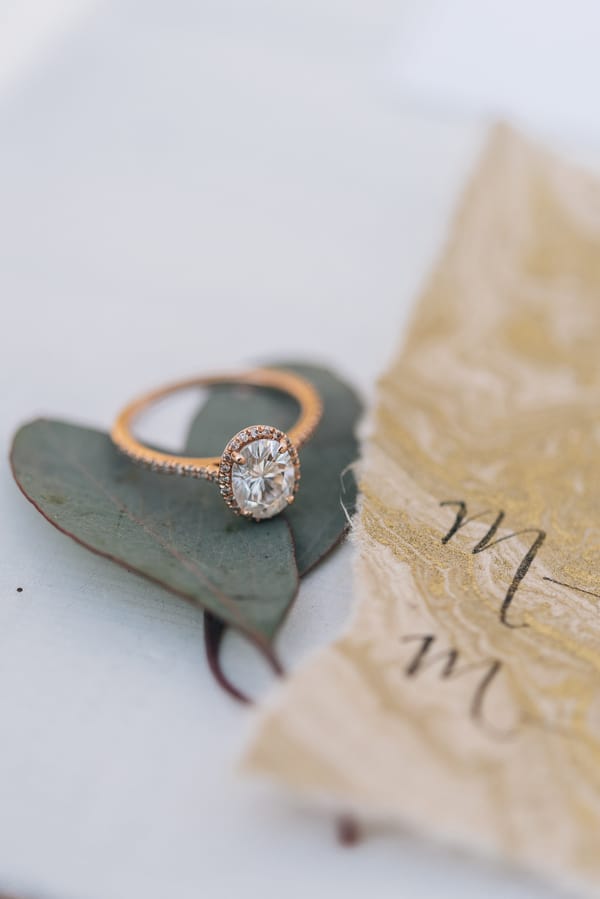 3 DanyelleDeePhotography_DSC1187_low
