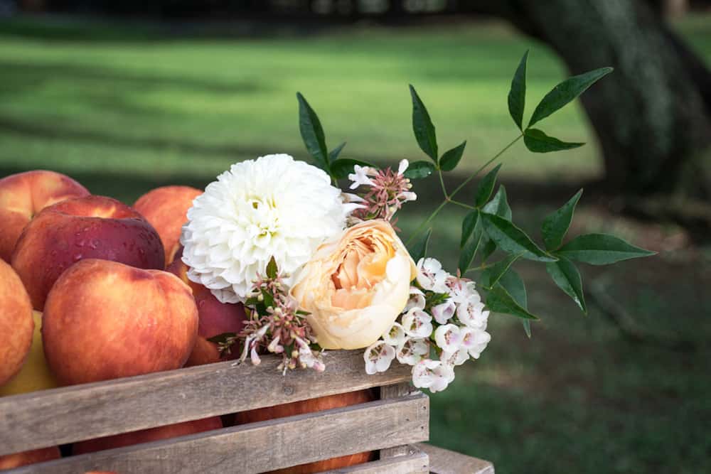 12 HeatherKCookPhotography_HKCPhotoSouthernOrchardsStyledShoot38_low