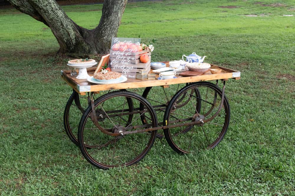 6 HeatherKCookPhotography_HKCPhotoSouthernOrchardsStyledShoot15_low