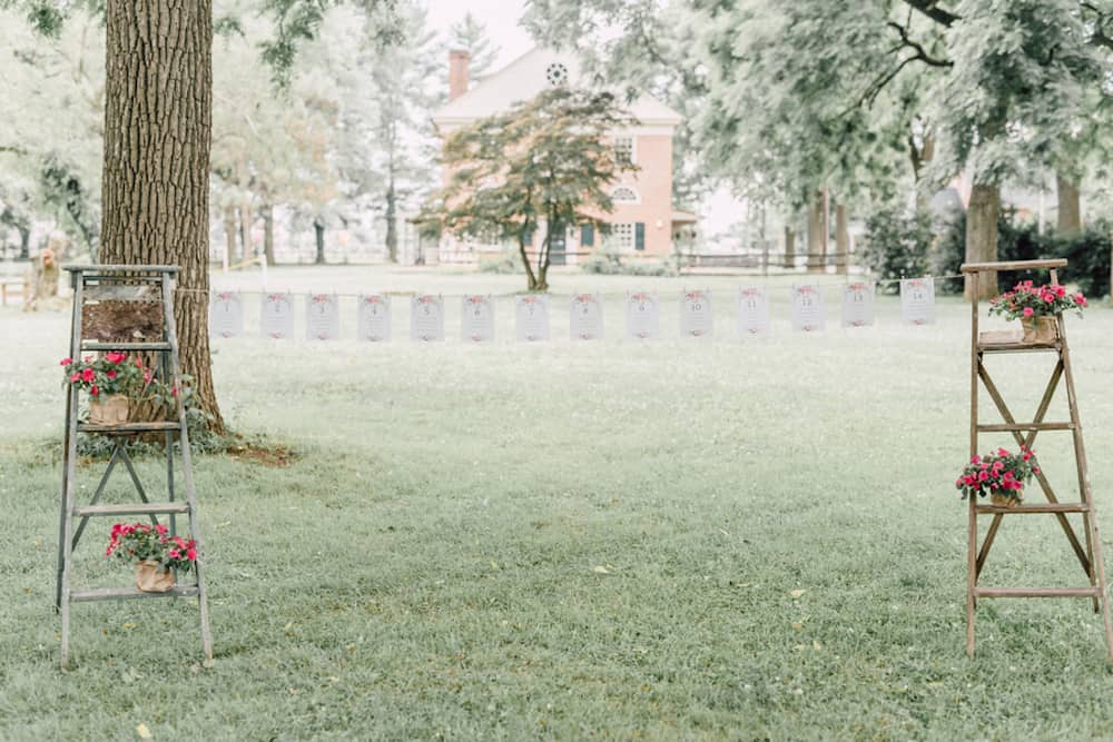 10 Petrilli_McCauley_AddieEshelmanPhotography_scaddieeshelman1139_low