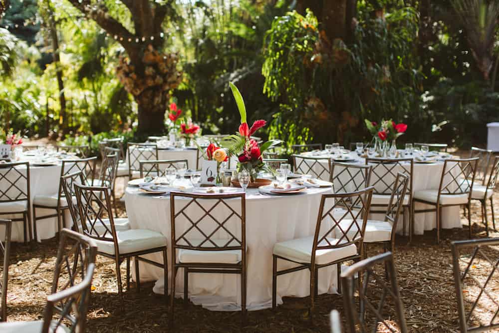 Angela Winsor Photography