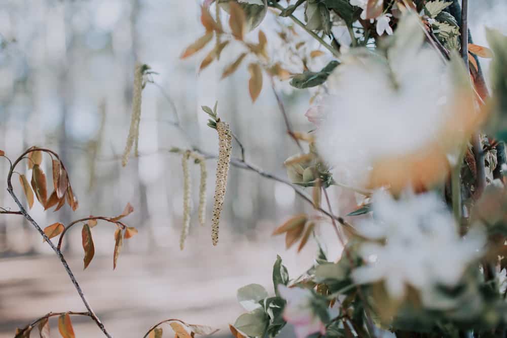 5 VafaPhotography_NorthernMichiganBohemianWeddingInspirationVafaPhoto292_low