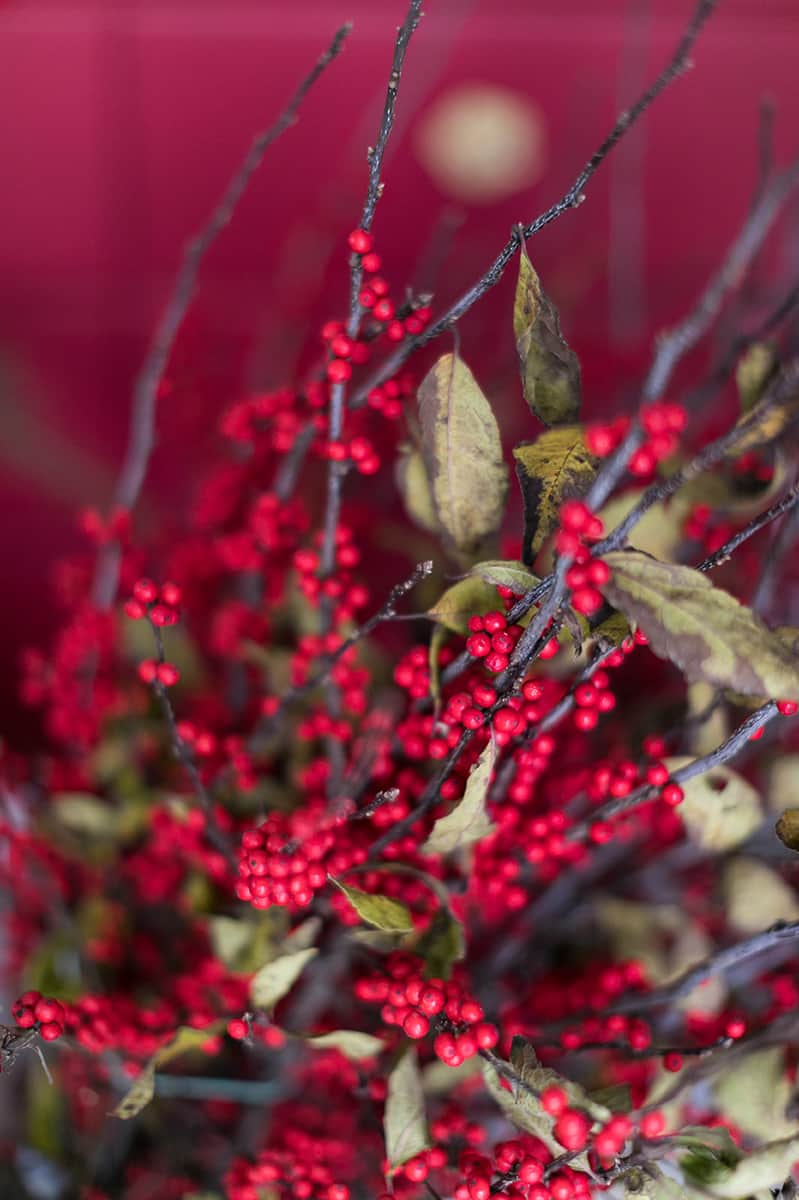 Holiday Wreath Making Party