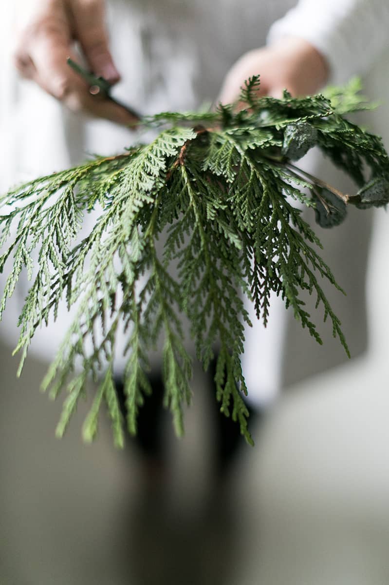 Holiday Wreath Making Party