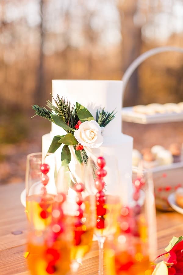 Maryland Christmas Styled Shoot