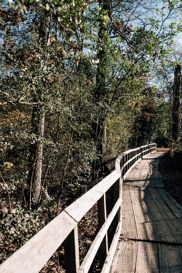 Houston Arboretum Elopement