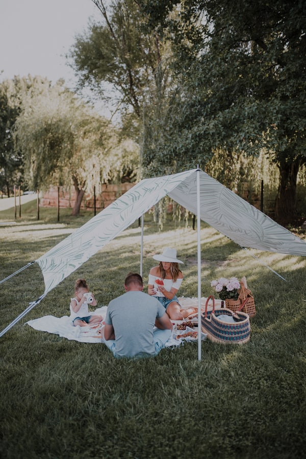 Friday Night Family Picnic