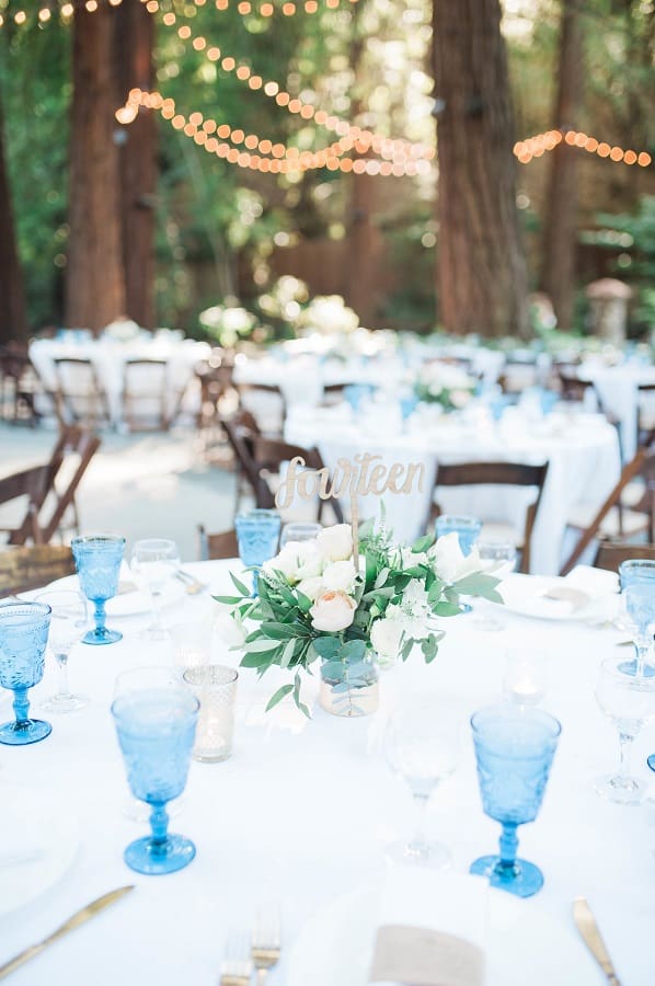 Elegant and Romantic UCLA inspired California Wedding