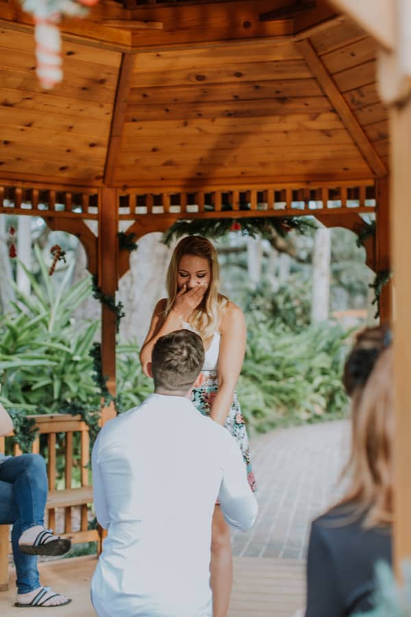 Surprise Christmas Eve Garden Proposal