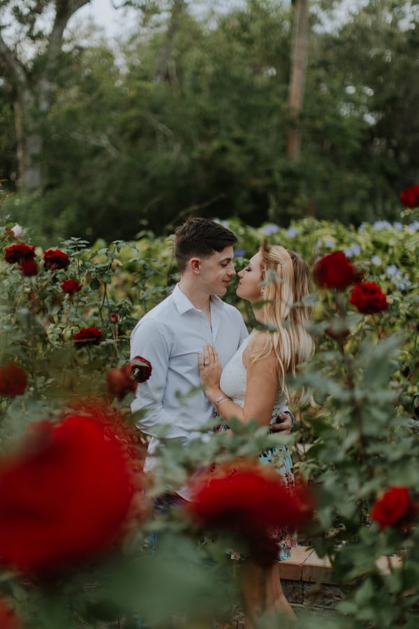 Surprise Christmas Eve Garden Proposal