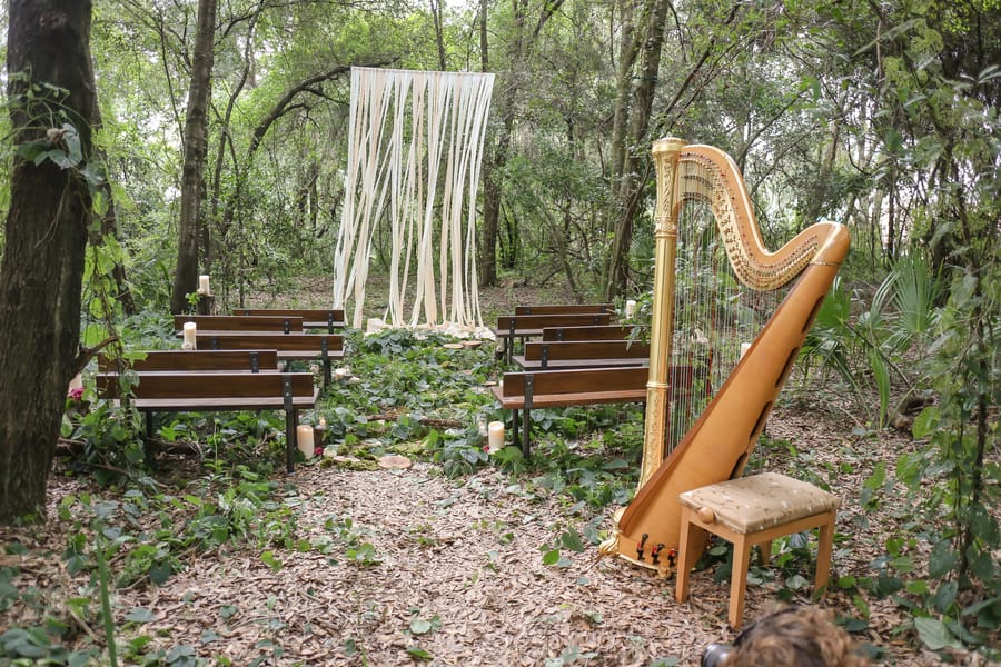 Enchanted Forest Wedding Day