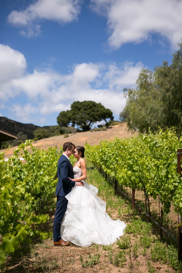 Lauren & Jake's Travel-Themed Vineyard Wedding