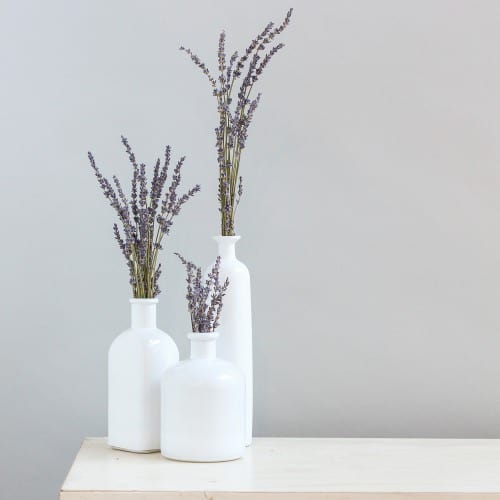 lavender vases