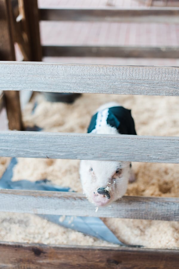 ranch wedding