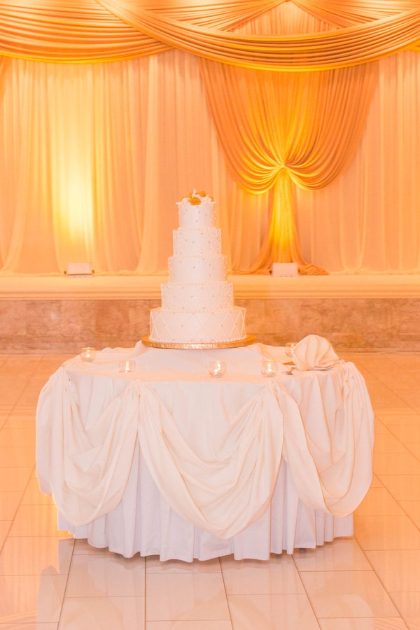 Multicultural Indian Wedding