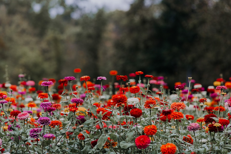 gorgeous floral decor