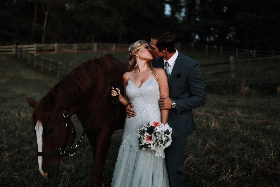 horse portraits