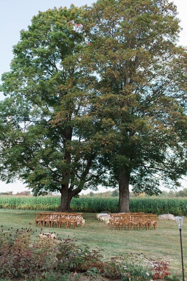 outdoor wedding