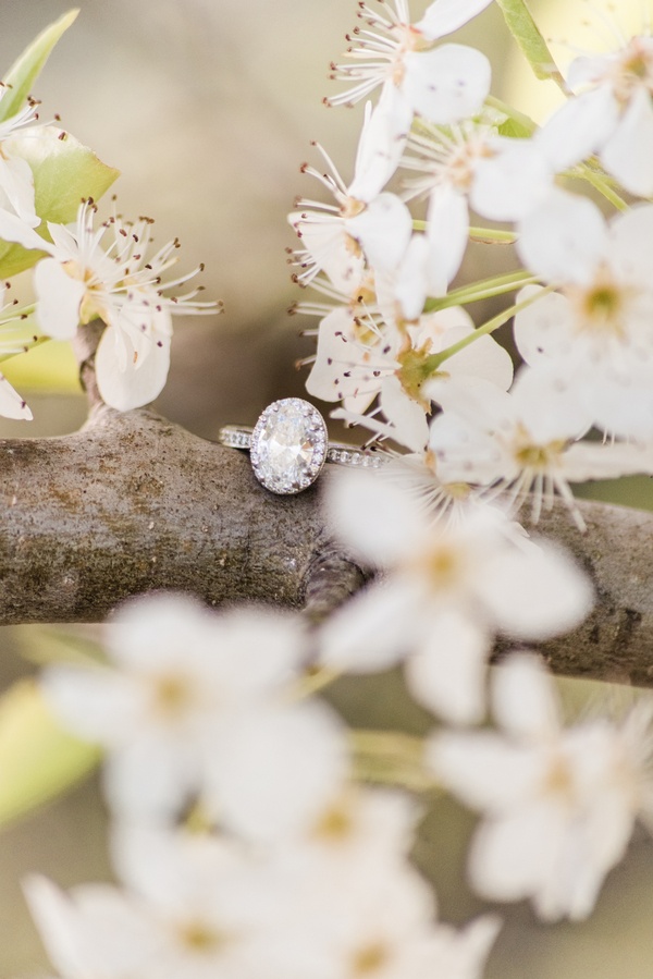 Bradford Pear Bloom Engagement Session