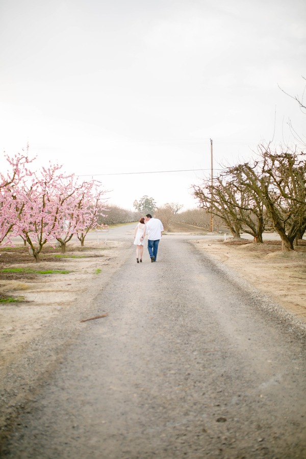 Blossom Trail Engagement Photos