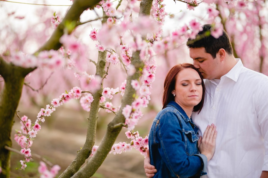 Blossom Trail Engagement Photos