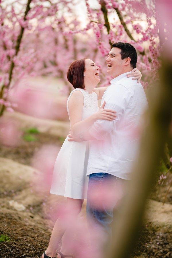 Blossom Trail Engagement Photos