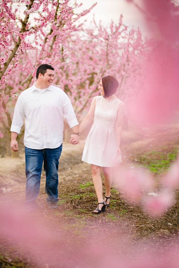 Blossom Trail Engagement Photos