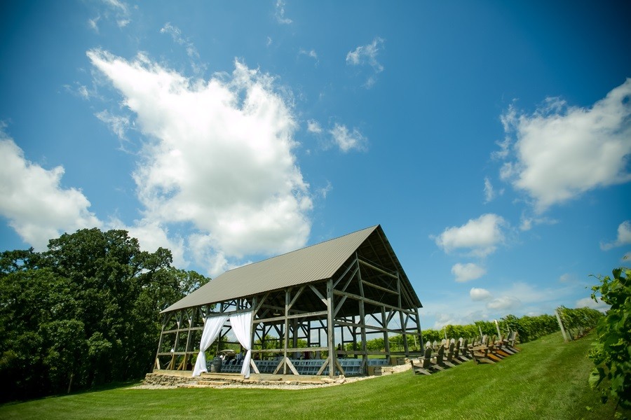 vineyard wedding