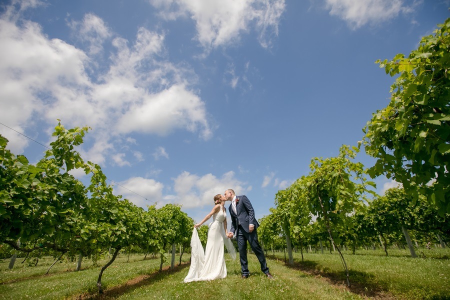 vineyard wedding