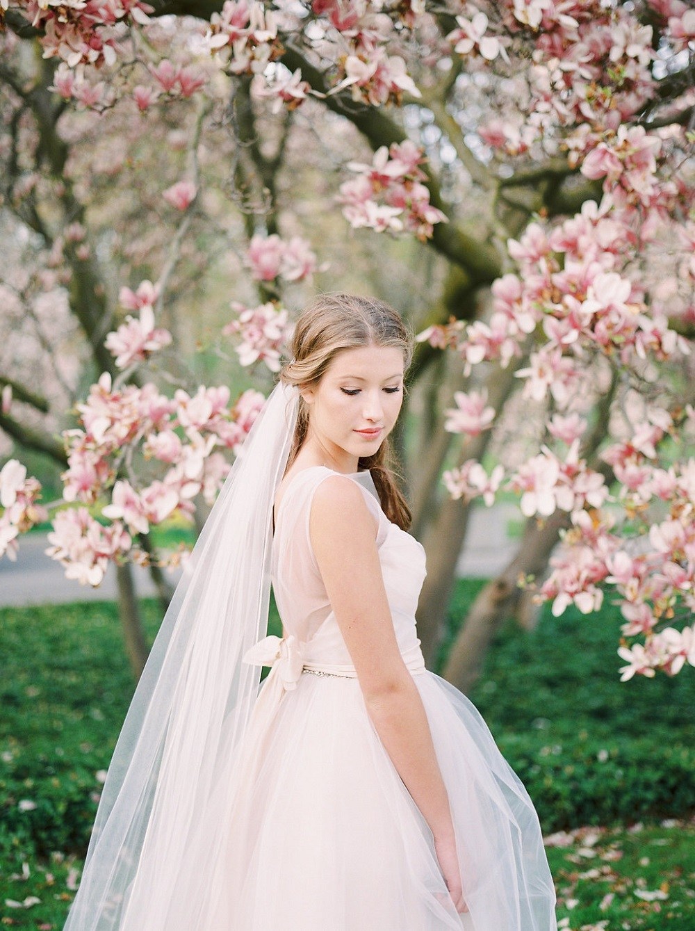 beautiful bride