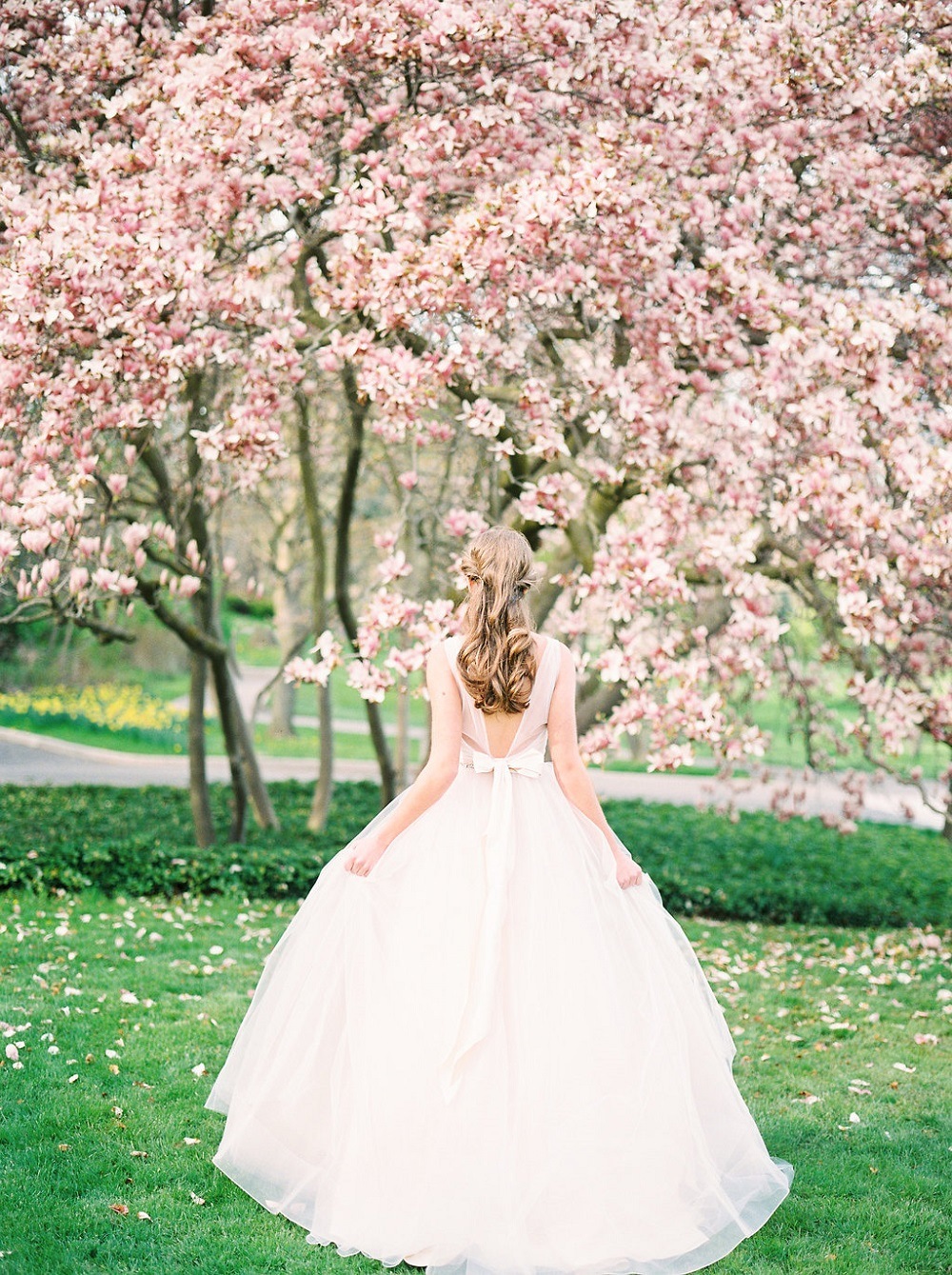 blossom tree bride