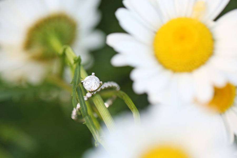 Spring Engagement Photos